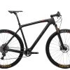 Felt Nine FRD Mountain Bike - 2016, 22" -Felt BMT13274 BJ 01
